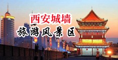 美女操大逼吃大逼高清版中国中国陕西-西安城墙旅游风景区